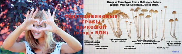 2c-b Михайловск