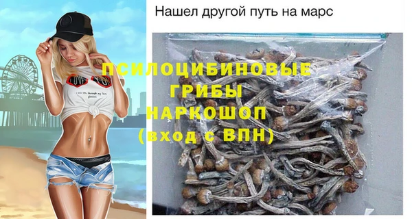 винт Михайловка