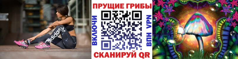 даркнет сайт  Нефтегорск  Галлюциногенные грибы MAGIC MUSHROOMS 